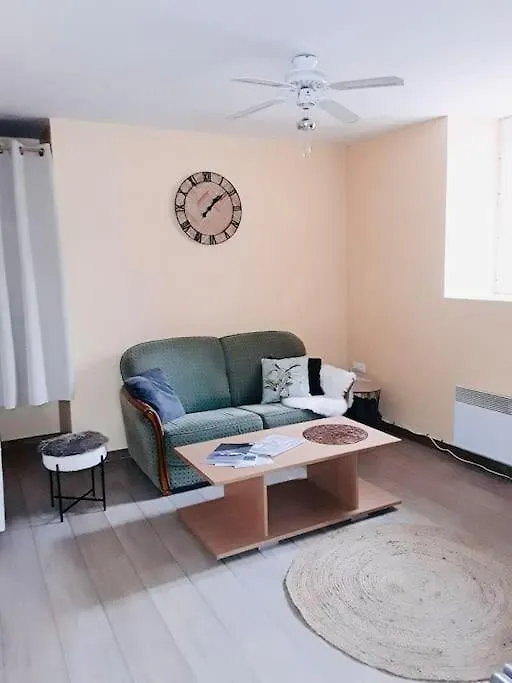 Appartamento Appartement En Centre Ville Argelès-Gazost